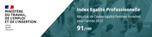 Index Egalité Professionnelle Aca Nexia